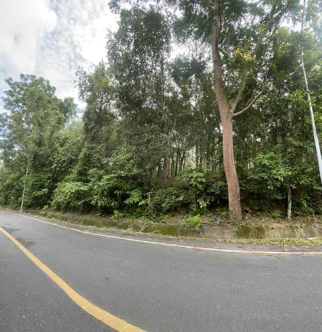ที่ดินทำเลดี เขาขาด จังหวัดภูเก็ต 3