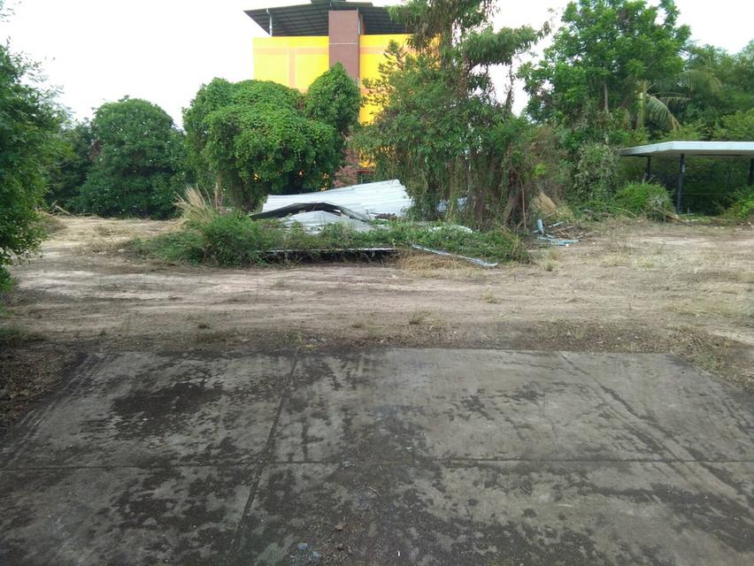 ที่ดินนครนายกเขตเทศบาลเมือง 4