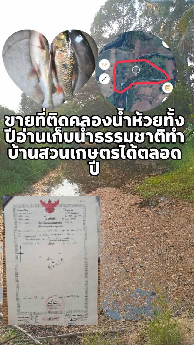 ที่ดินติดแหล่งน้ำคลองห้วยหายาก 1