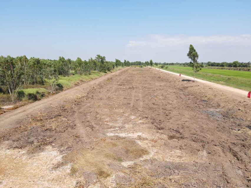 ขายที่ดินบึงกาสาม 1 ไร่ คลอง9 ติดถนนเลียบคลองแอน ใกล้ถนนเส้น5021-1กม. อ.หนองเสือ ปทุมธานี 5