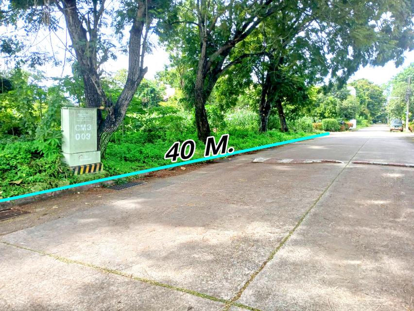 ขายที่ดินวิวสวยๆแปลงหัวมุม ถนนรอบ 4 ด้านโซนตรงกลาง ในหมู่บ้านสวนนนทรีย์แยกรวมโชค แบ่งแยกโฉนดเรียบร้อบแล้วพร้อมสร้างบ้าน 3