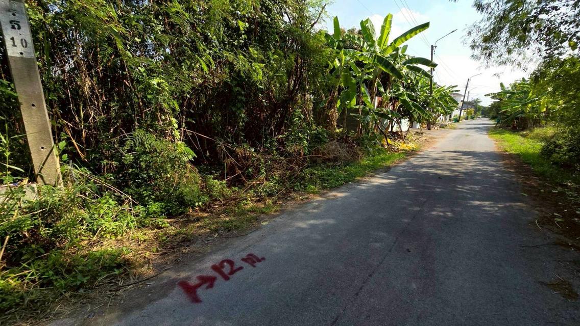 ขายด่วนที่ดินพุทธมณฑลสาย 3 เนื้อที่ 57 ตรว ติดถนนลาดยาง ซ.19 แยก 16  เขตตลิ่งชัน กทม. 5