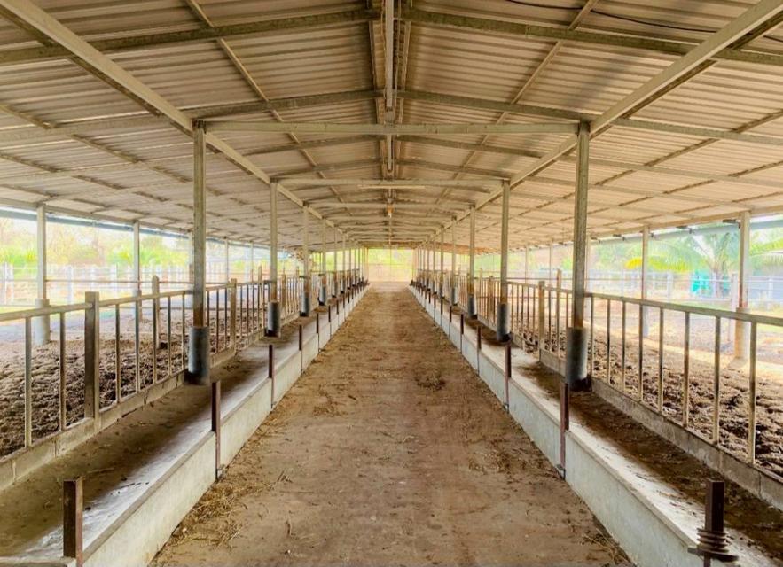 ขายที่ดินพร้อมบ้านและฟาร์ม เนื้อที่ 12 ไร่ 0 งาน 83 ตร.ว. ใกล้ รร.บ้านท่าหัวลบ 1