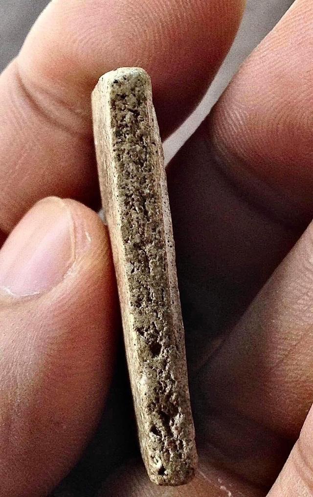 พระสมเด็จวัดระฆังพิมพ์ใหญ่เกศทะลุซุ้ม 4