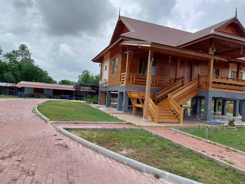 บ้านไม้สักและสวนธรรมชาติ 13