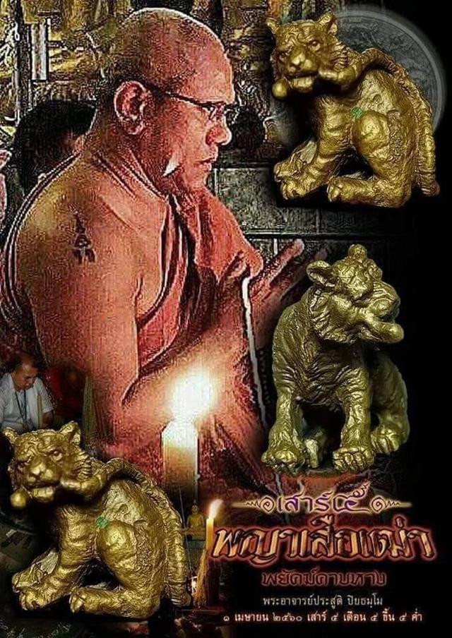 น้ำมันพญาเสือเฒ่าคาบหาง รูปที่ 4