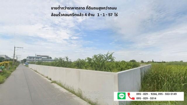 ขายถูกที่ดินถมสูงกว่าถนน ล้อมกำแพงคอนกรีตหนา 4 ด้าน เนื้อที่ 1-1-57ไร่ ธัญบุรี คลอง1.รังสิต-นครนายก17 ปทุมธานี 1