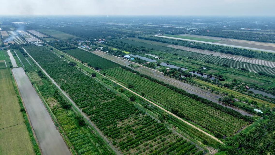 📣เปิดแปลงใหม่ 40 ไร่ สดๆร้อนๆ📣แบ่งขาย แปลงสวย ติดถนน ทำเลทองโครงการทางด่วน โครงการเริ่ม ปี พ.ศ. 2570-2571 แล้วเสร็จ 2575) 3