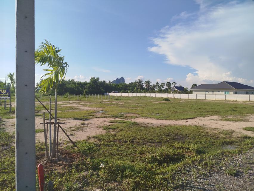ที่ดินชะอำ 7