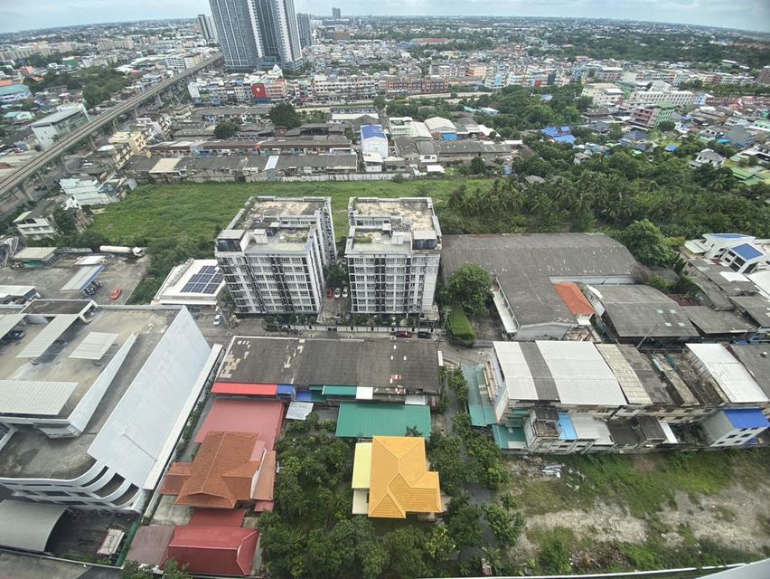 คอนโด 15