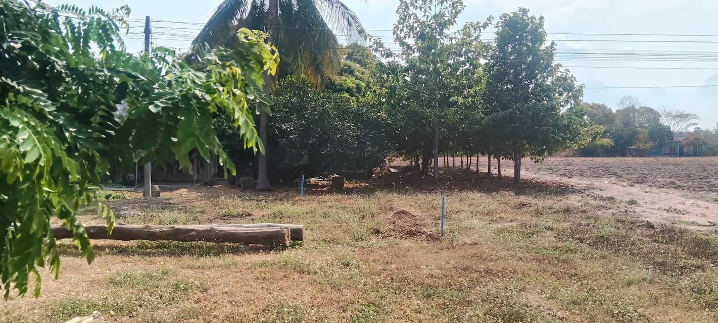 ขายบ้านและที่ดินพร้อมเข้าอยู่ 4