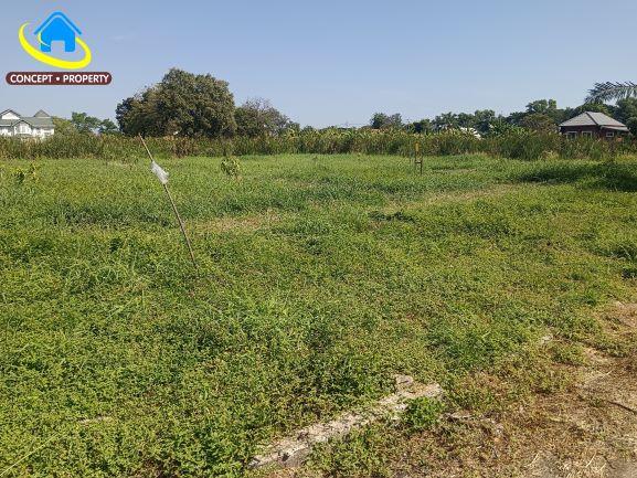 ขายที่ดินแปลงสวย 320 ตรว หมู่บ้านกฤษดานคร 25 ซอยประชาร่วมใจ 31 ทรายกองดิน มีนบุรี 3