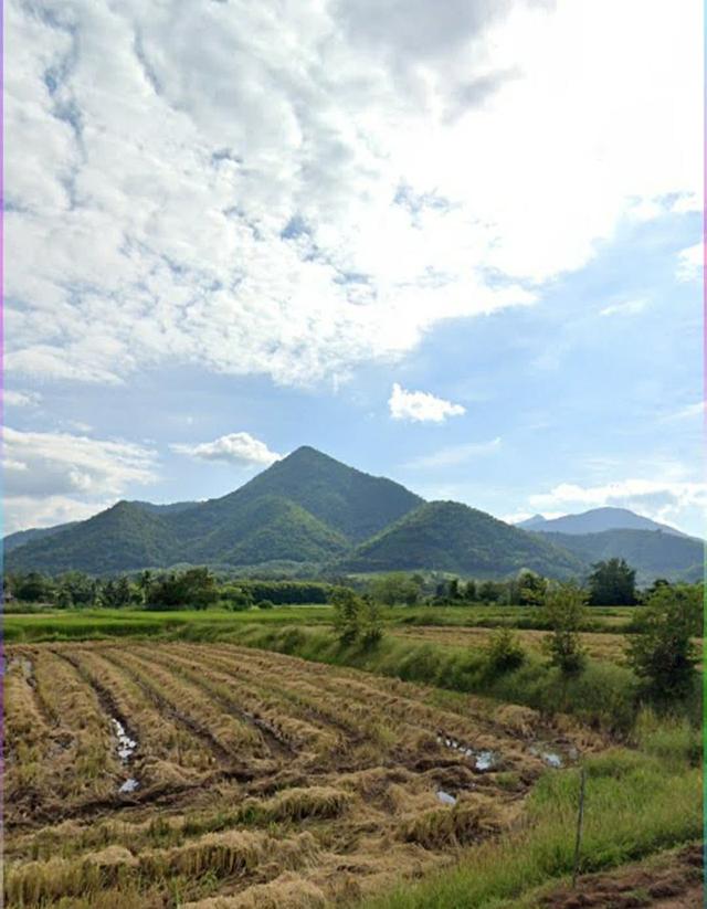 ที่ดิน จ.เลย ตำบลท่าลี่ อำเภอท่าลี่ จังหวัดเลย 3