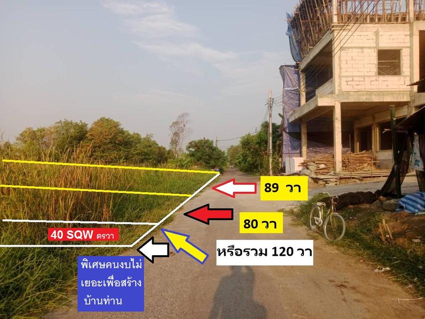 ขายที่โครงการจัดสรร ที่ดินขนาดใหญ่หลายร้อยแปลง หลายโซน สวยๆ ตั้งแต่ 40 ตารางวา - 209 ตารางวา ทั้งถนนคอนกรีต และเตรียมก่อนคอนกรีต (สวยๆ)  พหล-สายไหม 6 6