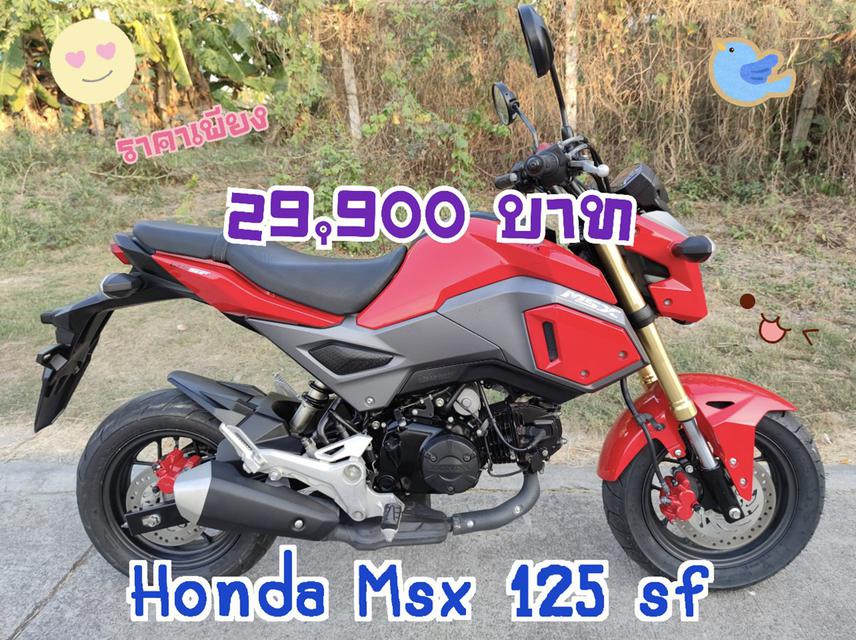  เก็บปลายทาง Honda MSX 125 SF สด-ผ่อน 1