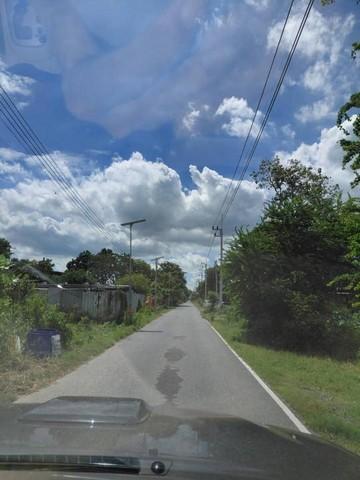 ขายด่วนที่ดินจัดสรรเก่า ระบบ น้ำไฟฟ้า ซอยบงกช15 จ.ปทุมธานี