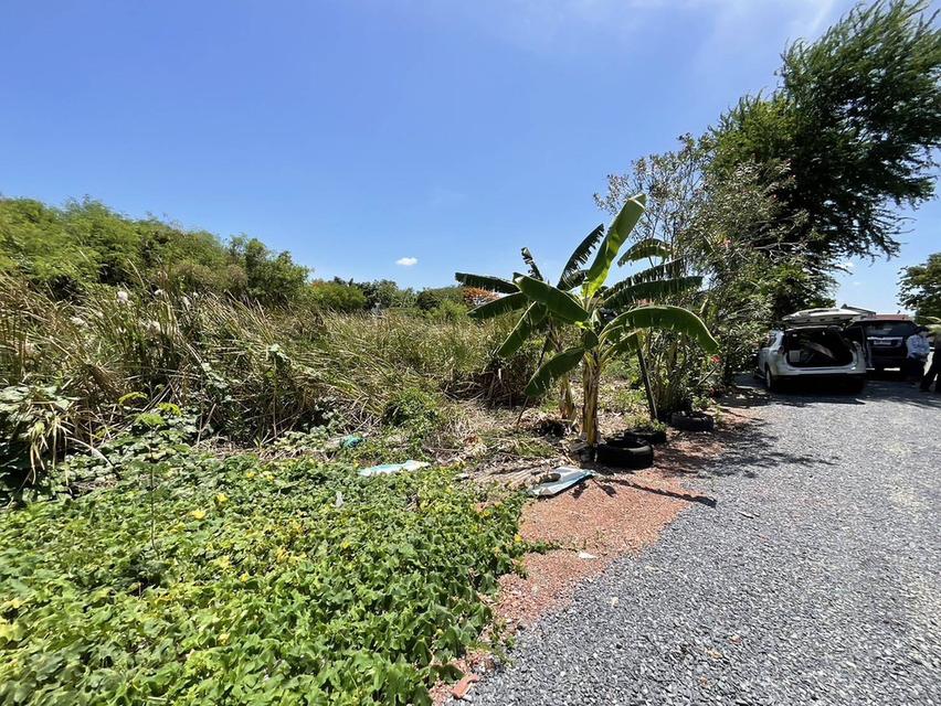 ขายที่ดิน ซ.ทุ่งมังกร 4  ฉิมพลี ตลิ่งชัน   3