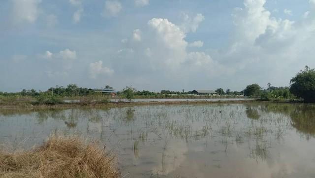 เข้าพรรษาหาทรัพย์ดีประดับบารมี ที่ดิน ลาดหลุมแก้ว บ่อเงินปุทม ใ5ไร่ อำเภอลาดหลุมแก้ว ปทุมธานี ลาดหลุมแก้วไร่ละ 1ลบ. โทร  2