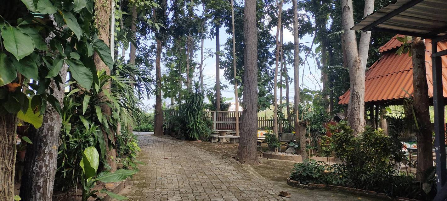 ที่ดินพร้อมสิ่งปลูกสร้างพอพัก ค้านอาหารบ้านพัก อ.เมืองจ.พะเยา 11