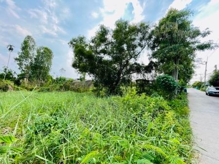 [ให้เช่า] ที่ดินทำเลทอง คลองห้าตะวันออก (ซอยจำรัส) 380 ตร.ว. หน้ากว้าง 45 เมตร เข้าซอยเพียง 80 ม. เหมาะทำโกดัง-อู่รถ เพี 6