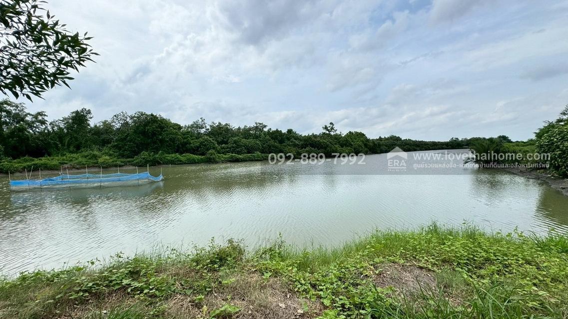 ขายที่ดิน ถนนเลียบคลองสรรพสามิต พระสมุทรเจดีย์ พื้นที่ 45-3-24 ไร่ เชิงสะพานข้ามคลองขุด-หลังขุน ราคาถูก 3