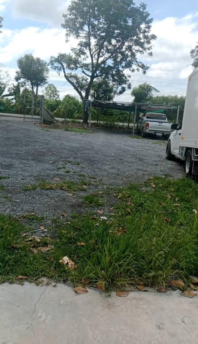 ที่ดินพร้อมบ้านที่ดินสวย บรยากาศดี ถมแล้ว 2ไร่ + บ้าน 1หลัง ติดถนนซอยแยก ซอยวัดลาดปลาดุก เดินทางสะดวกไปเซ็นทรัลเวสเกต กาญจนาภิเษก ไทรน้อย ไทรใหญ่ 3