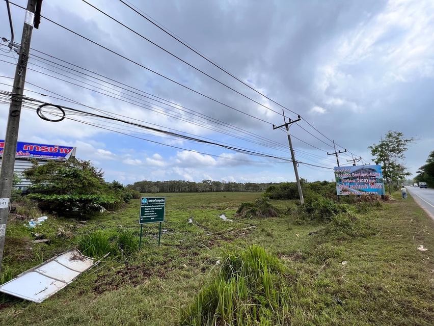 ที่ดินว่างเปล่าติดถนนใหญ่ 1