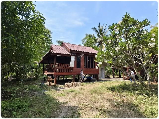 บ้านสวนทรงไทยริมน้ำ นั่งชมหิ่งห้อยได้จากระเบียงบ้านและท่าน้ำ เหมาะกับการผักผ่อน 4