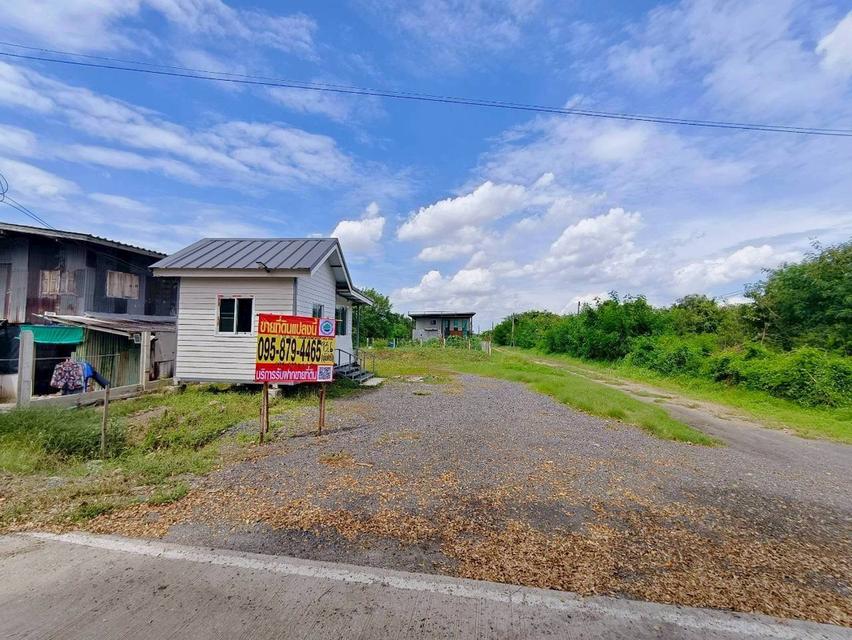 Vายด่วน ที่ดินบางหลวง 93.6 ตารางวา เลียบคลองพระยามหาโยธา ถมแล้ว อ.เมืองปทุม จ.ปทุมธานี 6