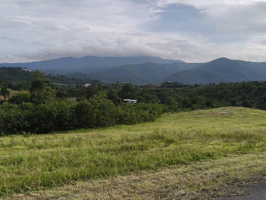 ขายที่บนเนินเขาใหญ่ โป่งตาลอง ปากช่อง ที่สูงบนเนิน 3.5 ไร่ วิวเขาใหญ่สวย ชัดมาก อากาศบริสุทธิ์ดีมาก ลมดีเย็นสบาย เดินทางสะดวก ใกล้เส้น 3052 ทอสคาน่า T 3