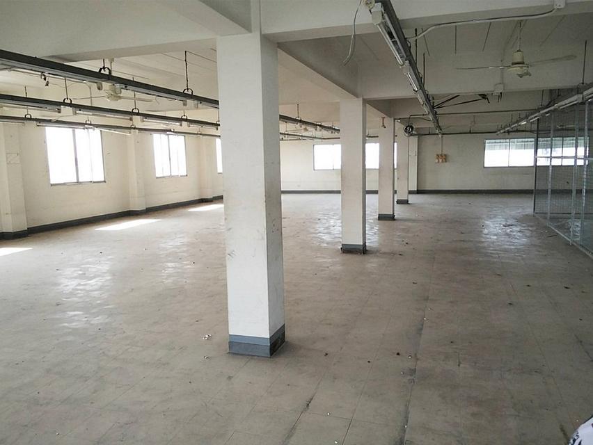 ขายอาคารสำนักงาน 6 ชั้น พร้อมโรงงาน คลังสินค้า พื้นที่ 200 ตร.วา ซอยลาดพร้าว 80 แยก 26 เขตวังทองหลาง 11