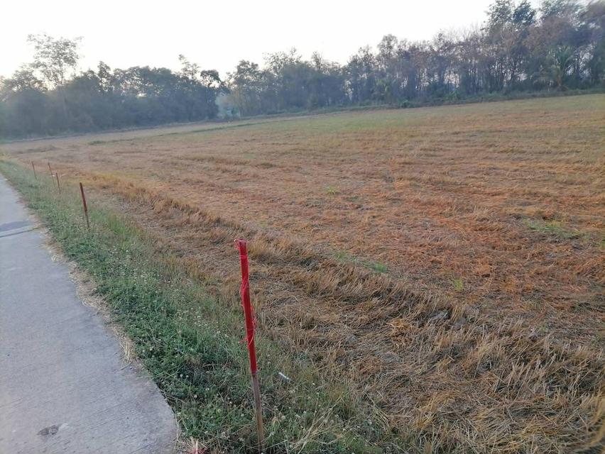 ขายที่ดินเปล่า ราชบุรี 2