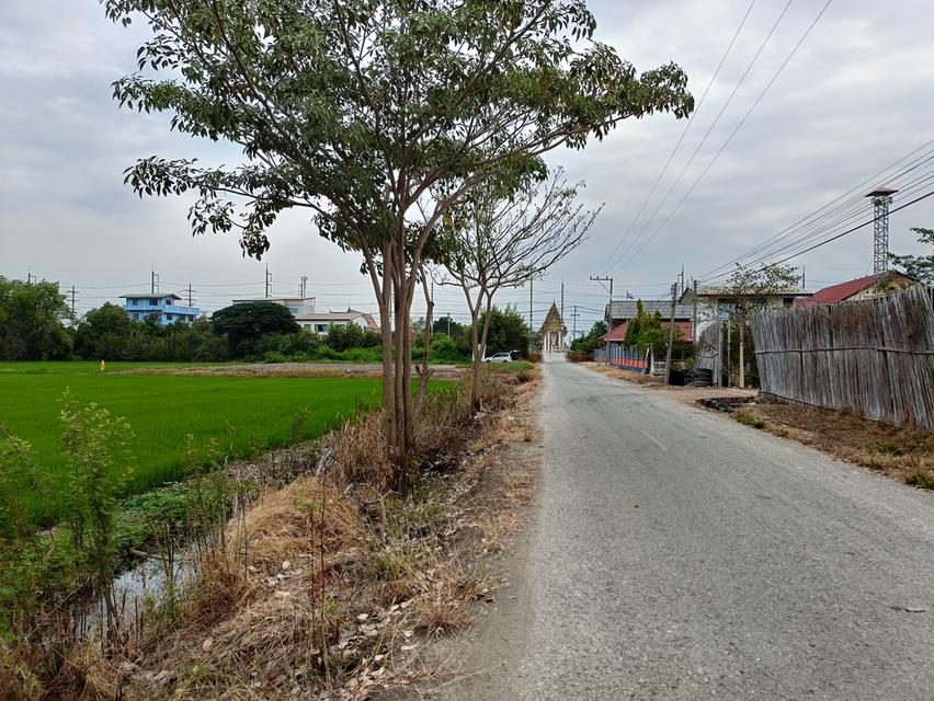 ขายที่ดินสุพรรณบุรี อ.สองพี่น้อง 3