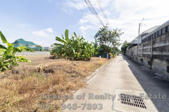 ขายที่ดิน ซ.สวนผัก ปทุมธานี ใกล้วัดหนองปรง ทำเลทอง ราคานี้หายากสุดๆ 5