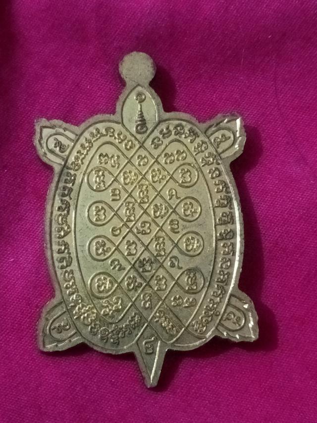 เต่าหลวงปู่หลิว สุขใจ รูปที่ 3