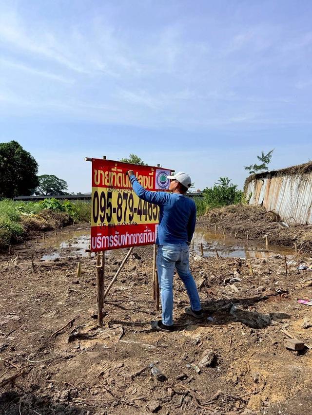 Vายถูกที่ดินบางแวก 75 ตารางวา ติดถนนคอนกรีตสาธารณะ ถมแล้ว 2