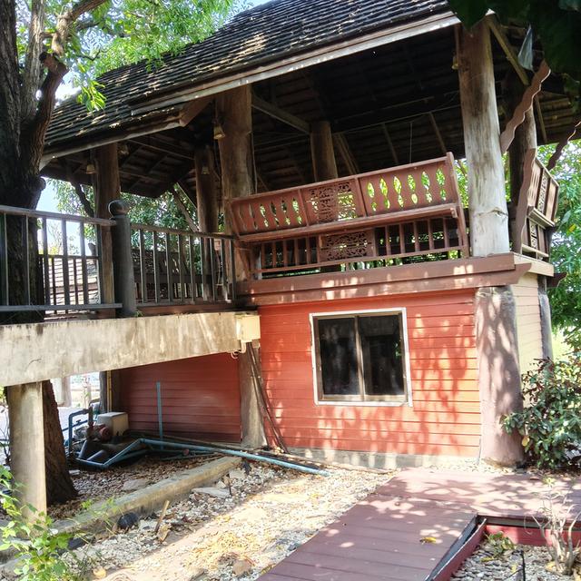 บ้านทรงไทยพร้อมที่ดิน 4