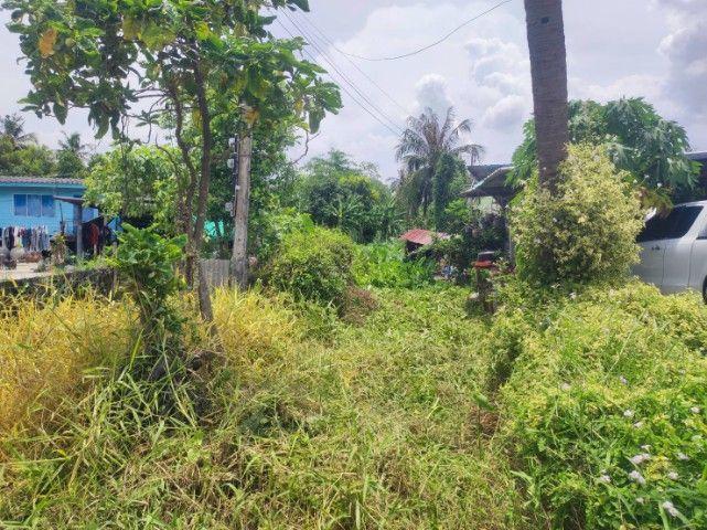 ขายที่ดินเปล่า ทำเลดี เขตหนองจอก กรุงเทพมหานคร 1