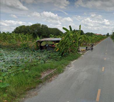 รูป ขาย ที่ดิน ติดถนน ติดน้ำ 393 ตร.วา คลองโยง พุทธมณฑล 5