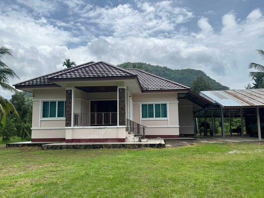 ขายสวนทุเรียนพร้อมบ้านพักอาศัย 4