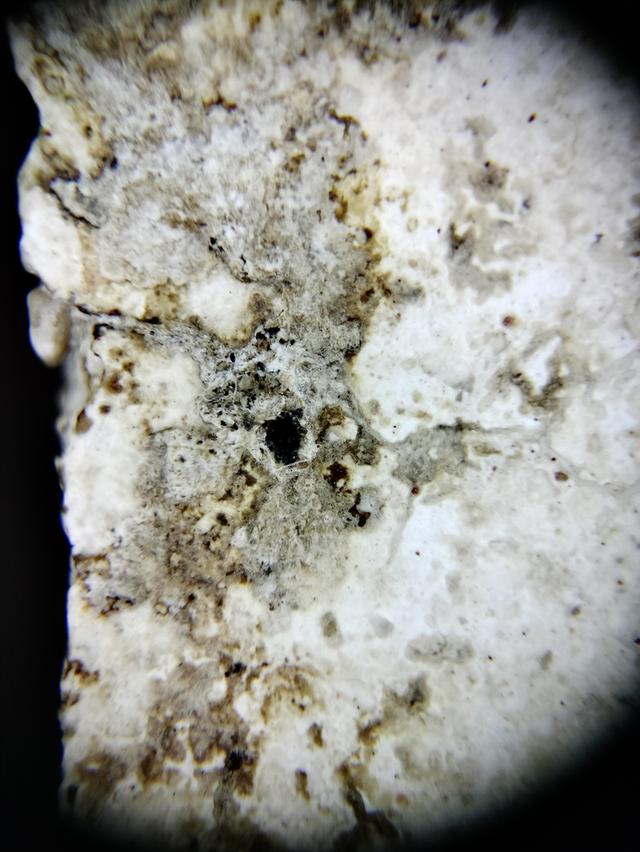 Phra Somdej Wat Rakhang รูปที่ 19