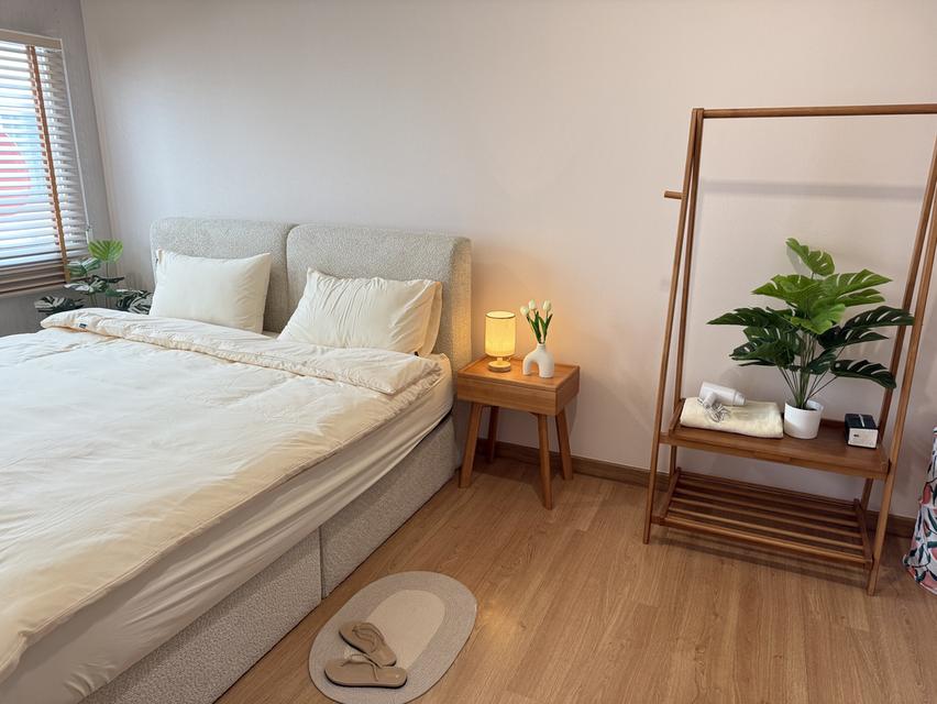 ปล่อยเช่าบ้านรายเดือน 2