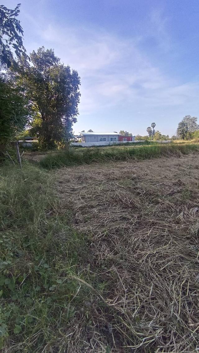 ที่ดินที่ขอนแก่นที่ดินที่ขอนแก่น 4