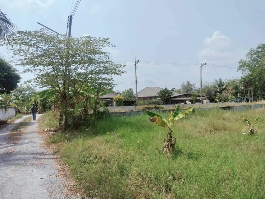 ขายด่วนที่ดิน 400 ตารางวา ติดถนนหินคลุกสาธารณะ อ.นครชัยศรี จ.นครปฐม 7