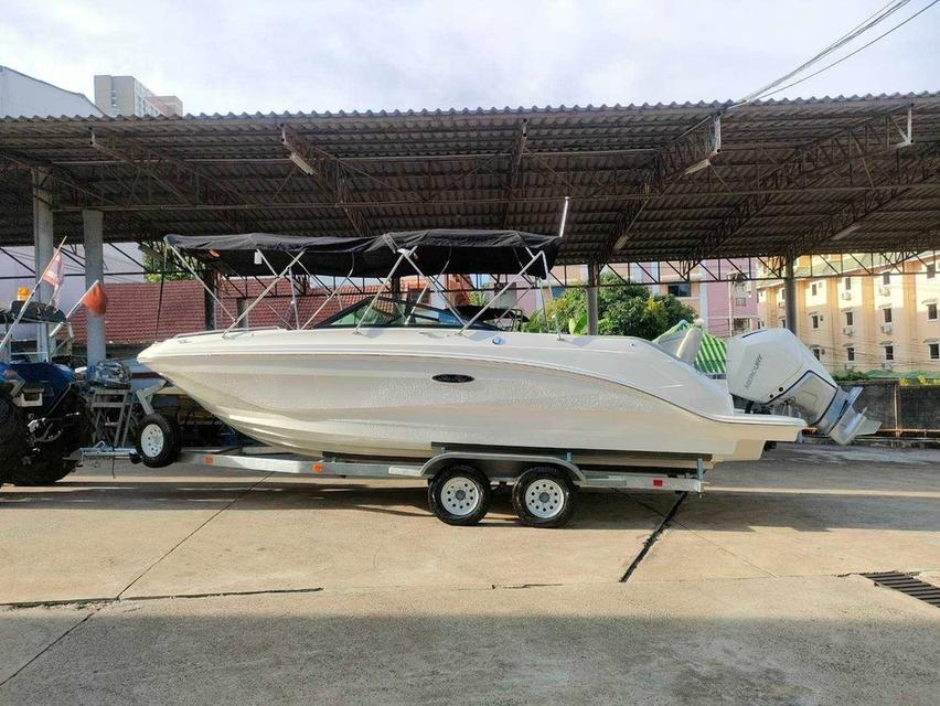 INSTOCK Sea Ray 250 SDX