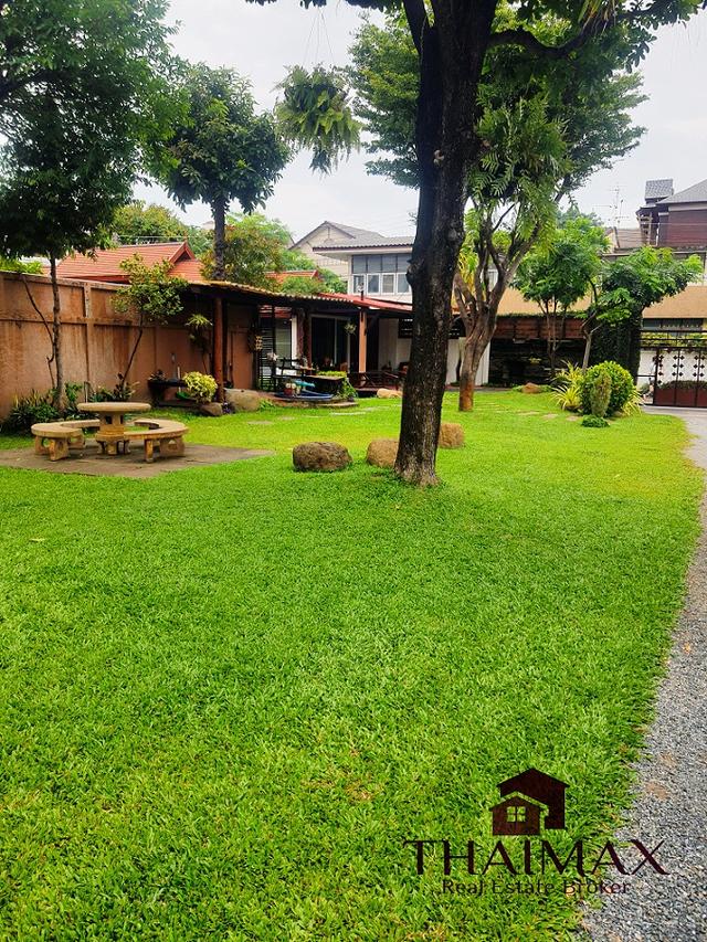 ขายที่ดินแปลงสวยทำเลดี 313 ตรว. ถนนท่าแพใจกลางเมือง เชียงใหม่ 2