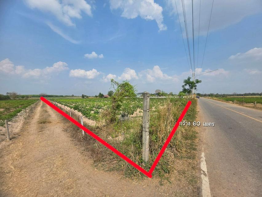 18 ไร่กว่า ในอำเภอเมืองอุดรธานี เพียง 7.5 ล้านบาท 4