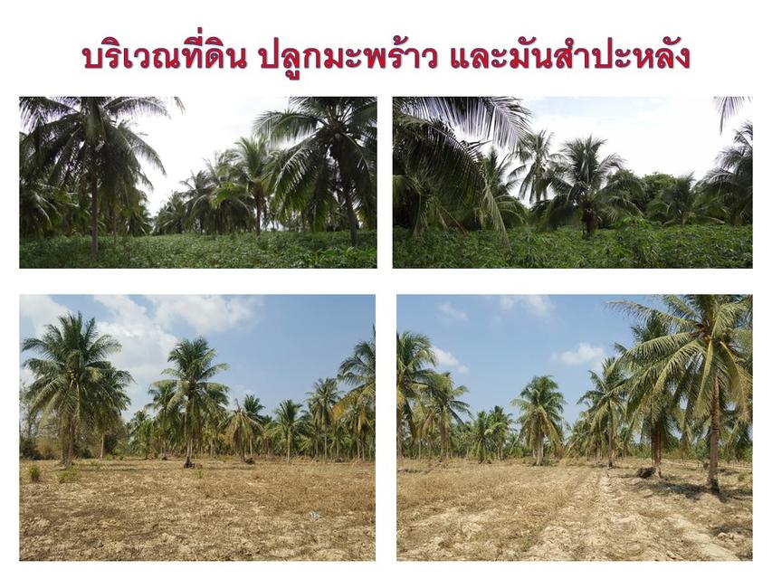 ขายที่ดิน   14 ไร่ 3 งาน 14 ตร.วา ต. ห้วยใหญ่  2