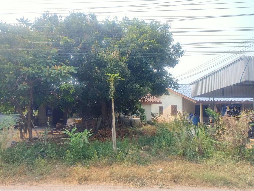 ที่ดินพร้อมบ้านราคาถูก🏡 2