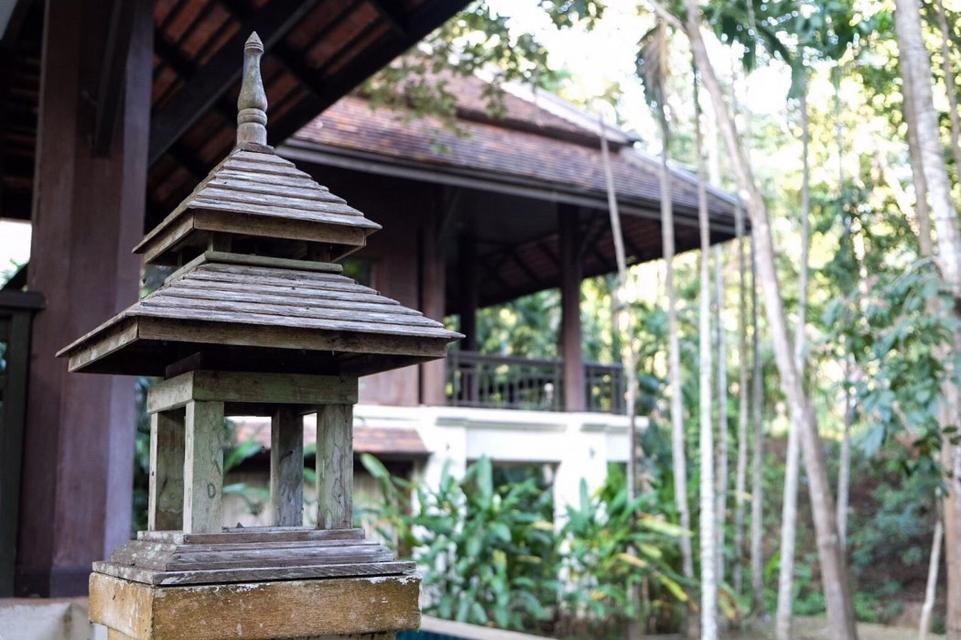 ขาย บ้านพักหรูใจกลางธรรมชาติ หางดง เชียงใหม่ 2-2-24 วา 1,890 ตรม. 5 นอน 5 น้ำ 2 ชั้น 6